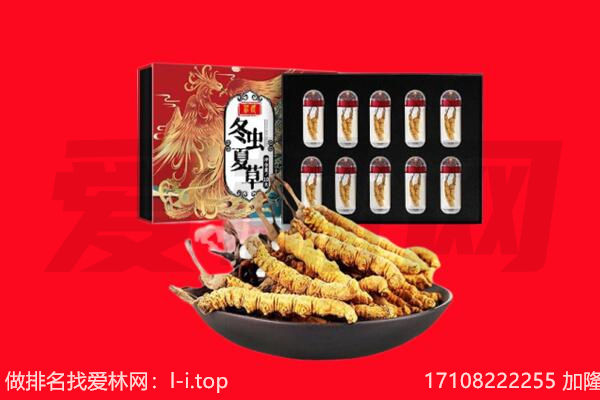 泉州石狮市回收虫草.jpg